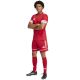 4. Football shorts adidas Squadra M 25 Short JN5466