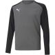 3. Puma teamPacer GK LS Jersey Jr 704939 43