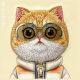 7. Nimmy Cool&Cute 2.0 Cat Case for iPhone 16 Pro - Green