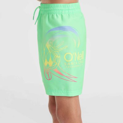 9. O'Neill Circle Surfer 14" Swim Shorts Jr 92800613206