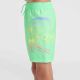 9. O'Neill Circle Surfer 14" Swim Shorts Jr 92800613206