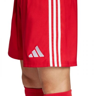 6. adidas Tastigo 25 M JN7157 shorts