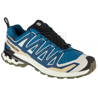 Salomon XA Pro 3D v9 GTX M L47817400 Running Shoes
