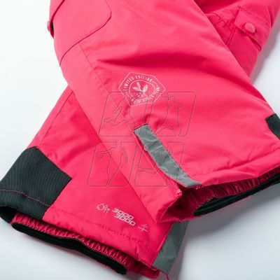 4. Ski pants Bejo Hlavar Jr 92800439458