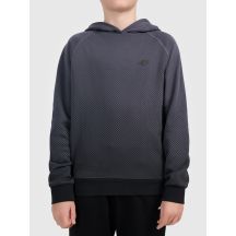Boy's hoodie with all-over print 4F 4FJWAW26TSWSM2687-95A