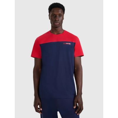 Men's regular printed T-shirt 4F 4FRAW25TTSHM3292-31S