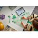 11. LEGO Botanical Collection 11508 - Daisies
