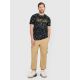 6. Men's regular printed T-shirt 4F 4FRAW25TTSHM3379-20A
