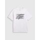 6. Men's regular printed T-shirt 4F 4FRAW25TTSHM3259-10S