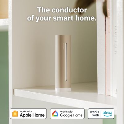 8. Original Netatmo NWS-S Sand Weather Station