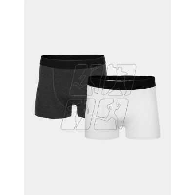Boxer shorts 4F M H4Z22-BIM350-92S