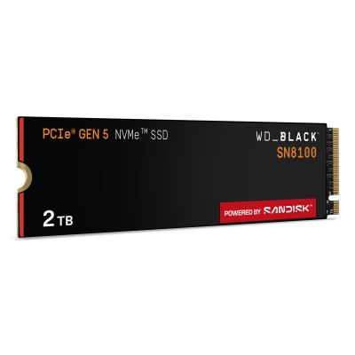 14. SSD WD Black SN8100 w/o HS 2TB WDS200T1X0M