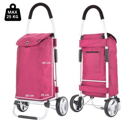 10. Classic Premium Shopping Cart 604319