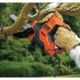 2. 500W Black&Decker RS890K-QS Reciprocating Saw