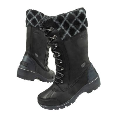 2. Sorel W NL2984-010 boots