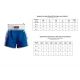 4. Kick Light Training Shorts MASTERS (WAKO APPROVED)