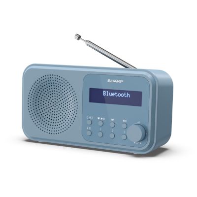 2. Sharp DR-P420 Portable Digital Blue