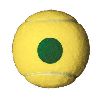 2. Wilson Starter Play Green Junior Tennis Balls (4 pcs)