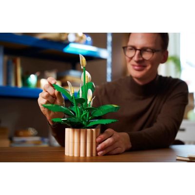 13. LEGO Botanical 11504 Spathiphyllum in a Pot
