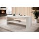 2. PAFOS coffee table 120x60xH.50 white matt