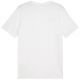 2. Puma Team Goal Casuals Tee M 658615 04