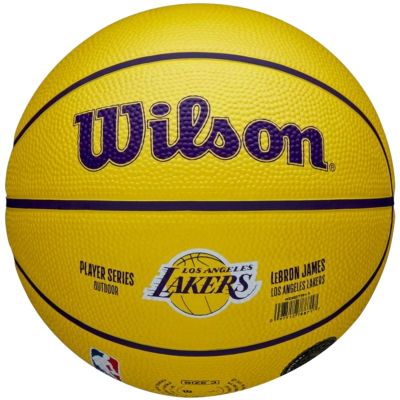 3. Wilson NBA Player Icon LeBron James Mini Ball WZ4027701XB Basketball