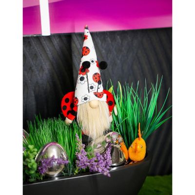 10. Gnome Ladybug Boy 24cm Spring Decoration
