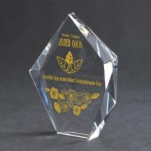 Engraved glass trophy + paint filling