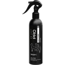 DR LUCY - PRO RIGIDY 250 ML - HAIR STIFFENING LOTION