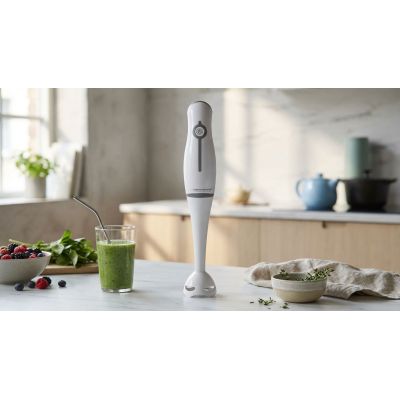11. Esperanza Frappe Hand Blender EKM001E (250W; gray)