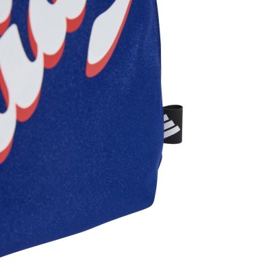 5. adidas Tiro Graphic Organizer Bag Blue KE3774