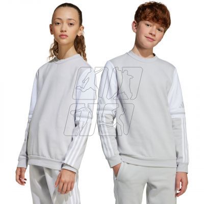 2. Adidas Squadra 25 Sweat Crew Jr JD4824 sweatshirt