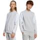2. Adidas Squadra 25 Sweat Crew Jr JD4824 sweatshirt