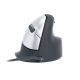 17. Ergonomic mouse for right-handed users R-Go Pele HE USB large black/silver retail