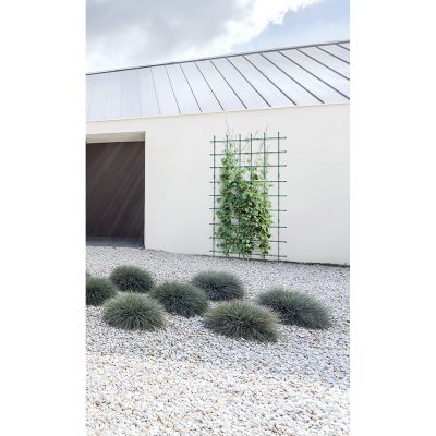 10. FLOO SUPPORTS PLANT SUPPORT 120x180CM FOREST GREEN