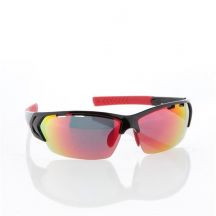 GOGGLE SUNGLASSES FW12 T428-2