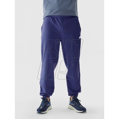 2. Sweatpants 4F M 4FWAW24TTROM1277-31S