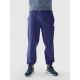 2. Sweatpants 4F M 4FWAW24TTROM1277-31S