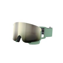 POC Nexal Ski Goggles Green