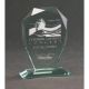 9. Engraved glass trophy with case