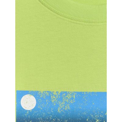 2. Men's regular printed T-shirt 4F 4FWSS26TTSHM3335-42S