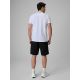 2. Men's casual shorts 4F 4FRSS26TSHOM0929-20S