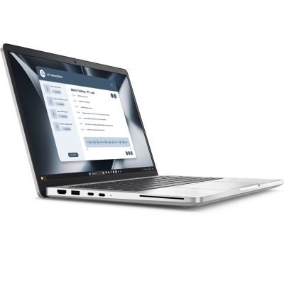 2. Dell Pro 13 Plus PB13255 Ryzen AI 5 PRO 340 13.3 FHD+ IPS 300nits 60Hz AG 32GB LPDDR5X SSD1TB Radeon 840M FgrPr&SmtCd Cam FHD+IR WLAN+BT Backlit Kb 3 Cell W11Pro 3Y ProSupport
