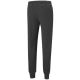 2. Puma ESS Logo Pants FL M 586714 07