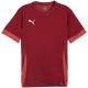 Puma teamGoal Matchday Jersey men's burgundy 705747 09