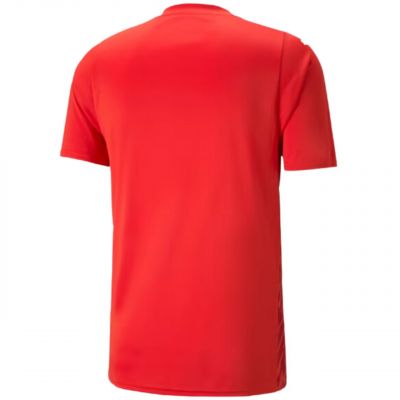 Puma teamULTIMATE Men's Red T-Shirt 705371 01