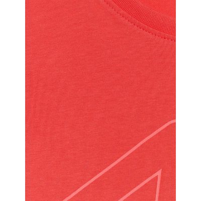 5. Boy's regular printed T-shirt 4F 4FJRAW25TTSHM3261-62S