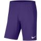 8. Nike Dry Park III NB KM BV6855 547 Shorts
