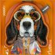 6. Nimmy Cool&Cute 2.0 Dog Case for iPhone 17 Pro with Magnetic Hanger - Orange