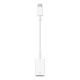 Apple USB-C to USB-A Adapter